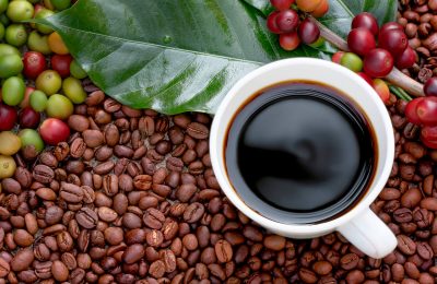 Your 101 Guide To Kona Coffee