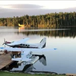 The Ultimate Playbook for Selecting Premium Wholesale Green Coffee Beans for Your Business