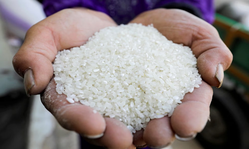Singapore Rice Importers List: Key Players and Supply Sources